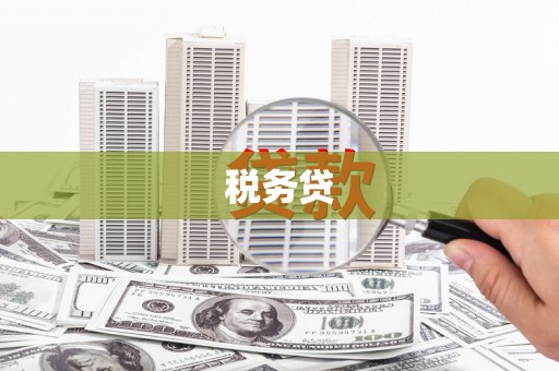 武胜税务贷