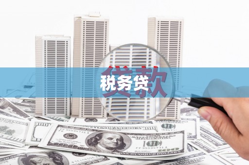武胜税务贷