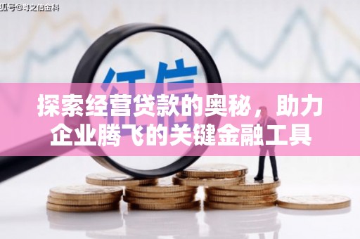 武胜探索经营贷款的奥秘，助力企业腾飞的关键金融工具
