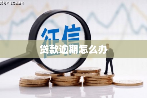 武胜贷款逾期怎么办