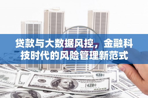武胜贷款与大数据风控，金融科技时代的风险管理新范式