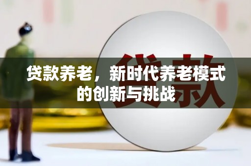 武胜贷款养老，新时代养老模式的创新与挑战