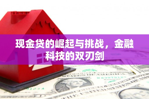 武胜现金贷的崛起与挑战，金融科技的双刃剑