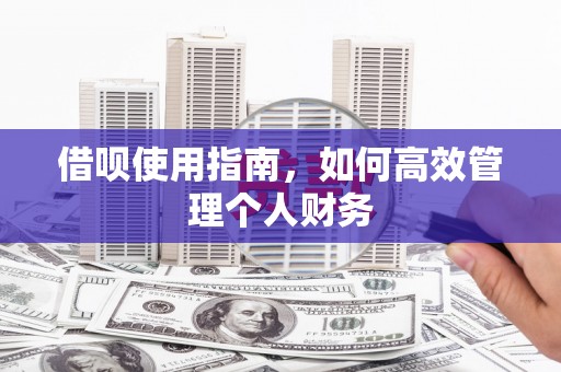 武胜借呗使用指南，如何高效管理个人财务