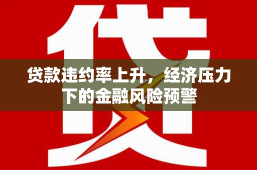 武胜贷款违约率上升，经济压力下的金融风险预警