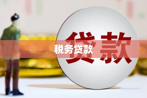 武胜税务贷款