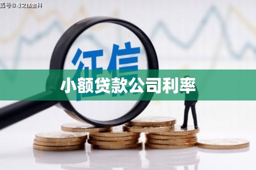 武胜小额贷款公司利率