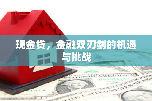 武胜现金贷，金融双刃剑的机遇与挑战