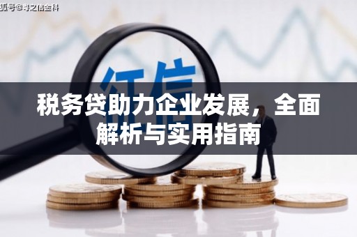 武胜税务贷助力企业发展，全面解析与实用指南