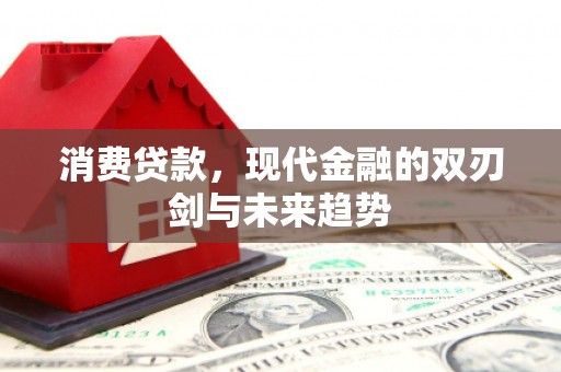 武胜消费贷款，现代金融的双刃剑与未来趋势