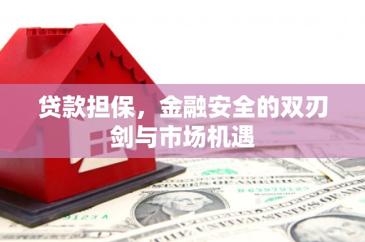 武胜贷款担保，金融安全的双刃剑与市场机遇