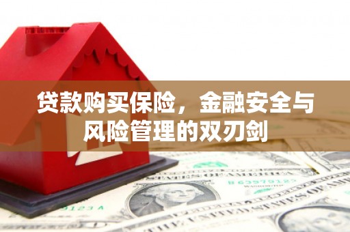 武胜贷款购买保险，金融安全与风险管理的双刃剑