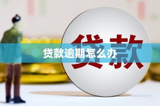 武胜贷款逾期怎么办