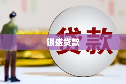 武胜银盛贷款