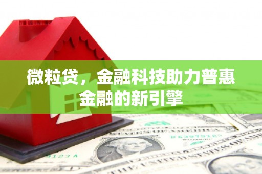 武胜微粒贷，金融科技助力普惠金融的新引擎