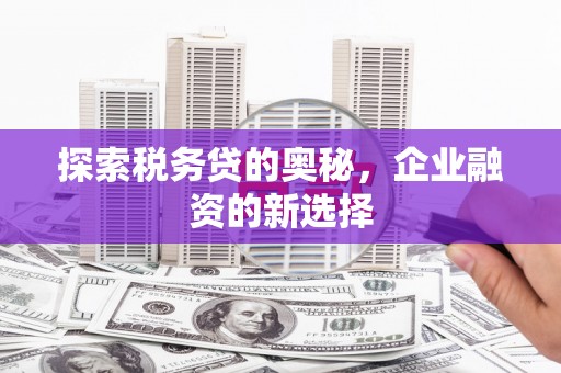 武胜探索税务贷的奥秘，企业融资的新选择