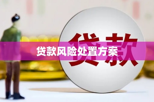 武胜贷款风险处置方案
