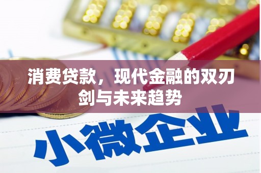 武胜消费贷款，现代金融的双刃剑与未来趋势
