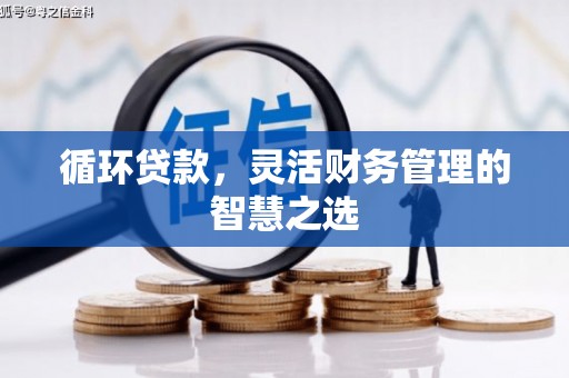 武胜循环贷款，灵活财务管理的智慧之选