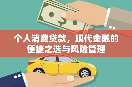 武胜个人消费贷款，现代金融的便捷之选与风险管理