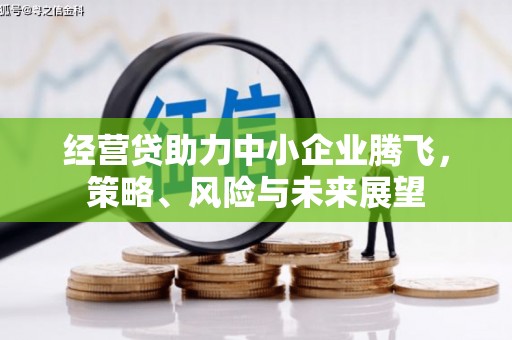 武胜经营贷助力中小企业腾飞，策略、风险与未来展望