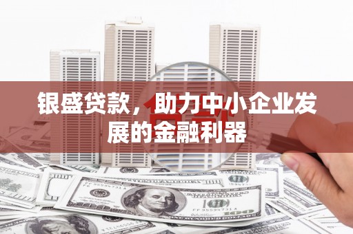 武胜银盛贷款，助力中小企业发展的金融利器