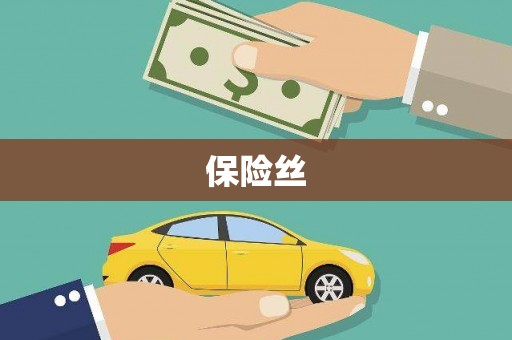 武胜保险丝