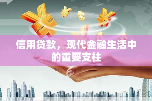 武胜信用贷款，现代金融生活中的重要支柱
