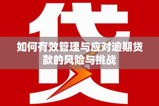 武胜如何有效管理与应对逾期贷款的风险与挑战
