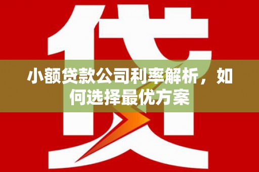 武胜小额贷款公司利率解析，如何选择最优方案