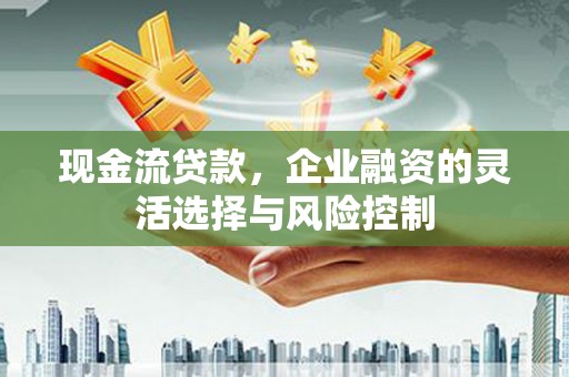 武胜现金流贷款，企业融资的灵活选择与风险控制