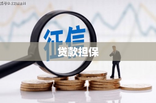 武胜贷款担保