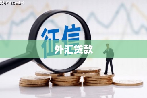 武胜外汇贷款