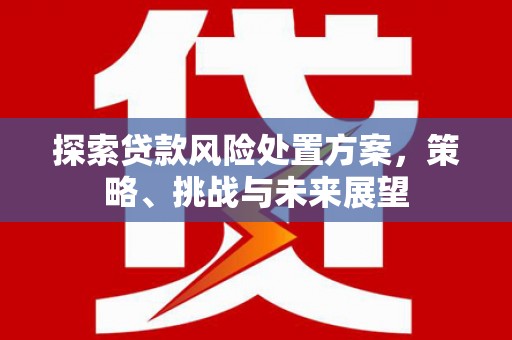 武胜探索贷款风险处置方案，策略、挑战与未来展望