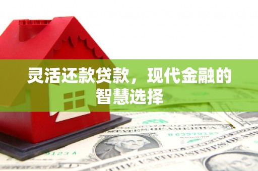 武胜灵活还款贷款，现代金融的智慧选择