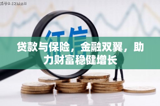 武胜贷款与保险，金融双翼，助力财富稳健增长