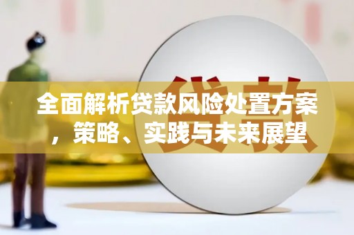 武胜全面解析贷款风险处置方案，策略、实践与未来展望