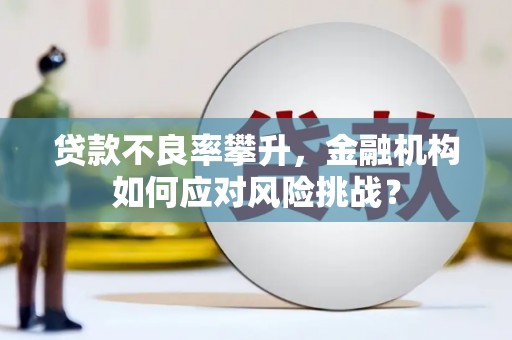武胜贷款不良率攀升，金融机构如何应对风险挑战？