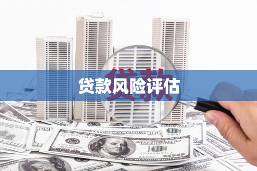 武胜贷款风险评估