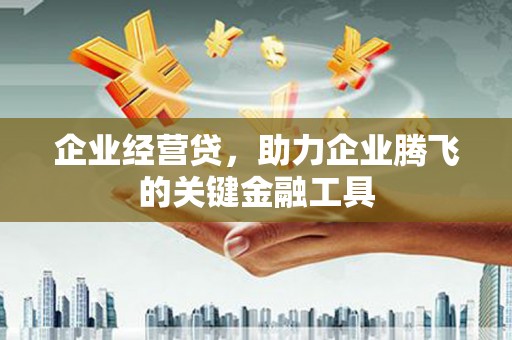 武胜企业经营贷，助力企业腾飞的关键金融工具