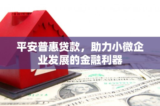 武胜平安普惠贷款，助力小微企业发展的金融利器