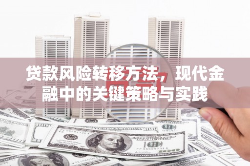 武胜贷款风险转移方法，现代金融中的关键策略与实践