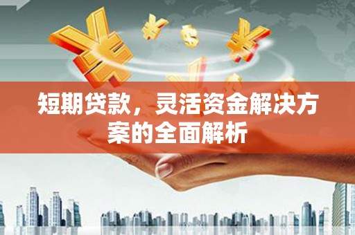 武胜短期贷款，灵活资金解决方案的全面解析