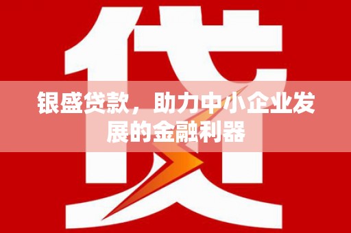 武胜银盛贷款，助力中小企业发展的金融利器