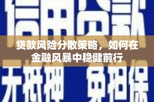 武胜贷款风险分散策略，如何在金融风暴中稳健前行