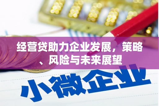 武胜经营贷助力企业发展，策略、风险与未来展望