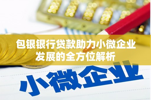 武胜包银银行贷款助力小微企业发展的全方位解析