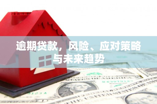 武胜逾期贷款，风险、应对策略与未来趋势
