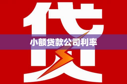 武胜小额贷款公司利率