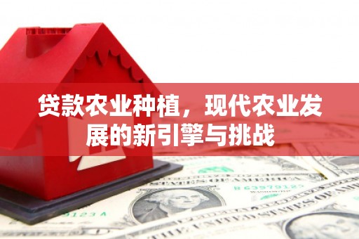 武胜贷款农业种植，现代农业发展的新引擎与挑战